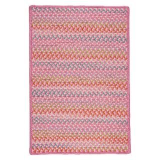 Color Craze Braided Accent Rug   Pink (3x5)