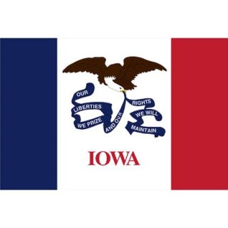 Iowa State Flag   3 x 5