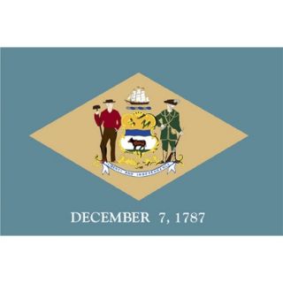 Delaware State Flag   4 x 6