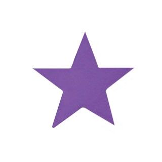 Purple Foil Star