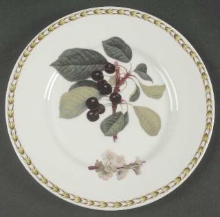 Rosina Queens HookerS Fruit (Bone, Made In England) Salad Plate, Fine China Din