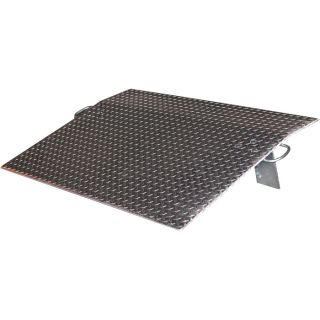 Vestil Economizer Dockplate   Aluminum, 4100 lb. Capacity, 54 Inch L x 60 Inch