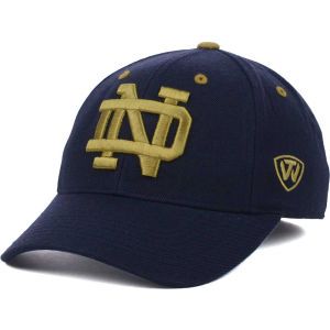 Notre Dame Fighting Irish Top of the World NCAA Memory Fit Dynasty Fitted Hat