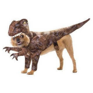 Raptor Pet Costume   X Small
