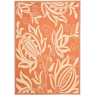 Terracotta/ Natural Indoor Outdoor Rug (67 X 96)