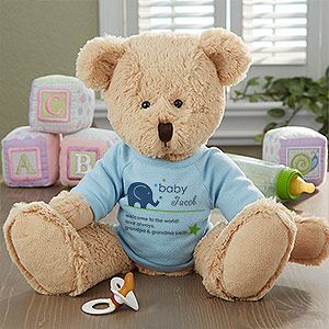 Personalized Boys Teddy Bear by Ty