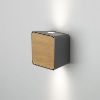 Lab Outdoor Wall Sconce