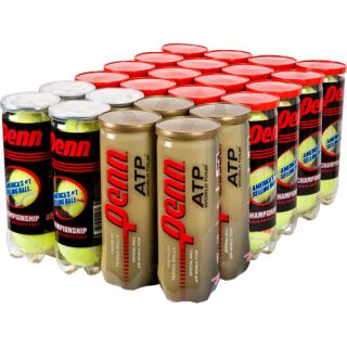 Penn Championship Gold Rush Regular Duty 24 Cans Penn Tennis Balls