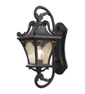 Hamilton Park 1 Light Outdoor Wall Lights in Weathered Charcoal 42041/1