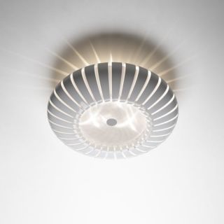 Maranga C Ceiling Light