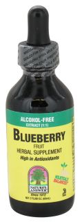 Natures Answer   Blueberry Fruit Alcohol Free Extract (11)   2 oz.