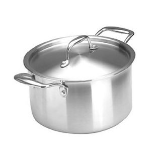 3 layer 11.5 qt Steel Soup Pot with Cover, W25cm x L29cm x H15cm