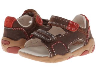 Clarks Kids Softly Bay Boys Shoes (Brown)