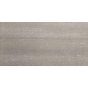 Emser Perspective Gray 12 in. x 24 in. Porcelain Floor and Wall Tile (9.69 sq. ft. / case) F95PERSGR1224
