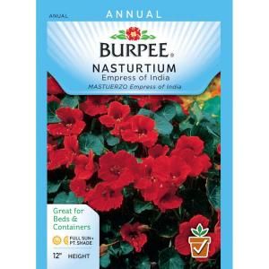Burpee Nasturtium Empress of India Seed 49544
