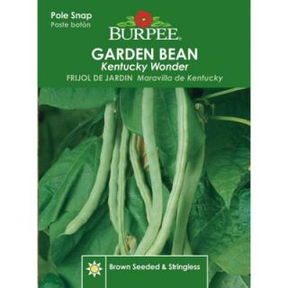 Burpee Bean Pole Snap Kentucky Wonder Seed 65828