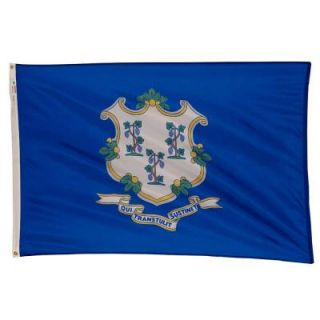Valley Forge Flag 3 ft. x 5 ft. Nylon Connecticut State Flag CT3