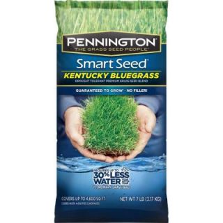 Pennington Smart Seed 7 lb. Kentucky Bluegrass Grass Seed Blend 118528
