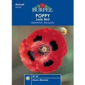 Burpee Poppy Lady Bird Seed 37411