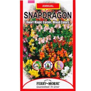 Ferry Morse Snapdragon Dwarf Magic Carpet Mixed Colors Seed 1142