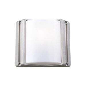 PLC Lighting 1 Light Outdoor Silver Wall Sconce with Matte Opal Glass DISCONTINUED CLI HD1835SL