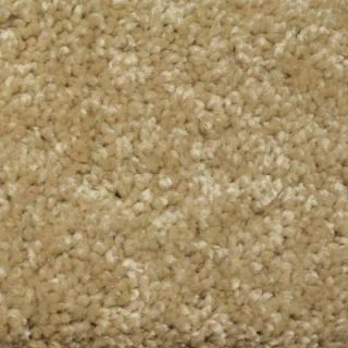 Truly Soft II   Color Sandstorm 12 ft. Carpet HD052 04