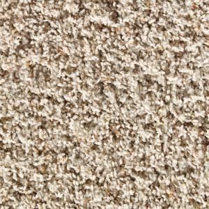 Martha Stewart Living Fitzroy House Fledgling   6 in. x 9 in. Take Home Carpet Sample DISCONTINUED 893198