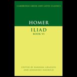 Iliad  Book VI