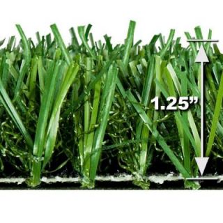 Turf Evolutions Pet Turf Indoor Outdoor Landscape Artificial Synthetic Lawn Turf Grass Carpet,5 ft. x 10 ft.($4.49/sq.ft. Equiv.) Pets Turf50