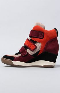 Ash Shoes The Alex Sneaker in Black Lotter Bourdeaux Coral Suede