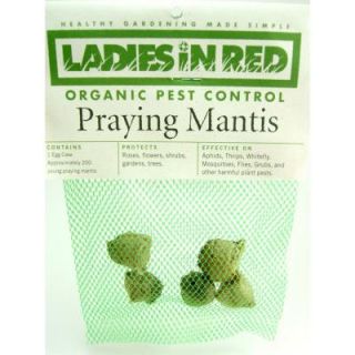LADIES IN RED Five Praying Mantis Egg Cases for Organic Control of Yard and Garden Pests 241