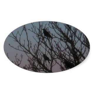 A Murder of Crows by Shawna Mac Oval Sticker