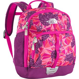 Sprout Kids Backpack Azalea Pink Geo Zoo Print   The North Face