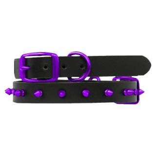 Platinum Pets Black Genuine Leather Dog Collar with Spikes   Purple (17 20)