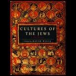 Cultures of the Jews  New History