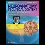 Neuroanatomy In Clinical Context