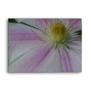 White Clematis Flower Petals Nature Envelope