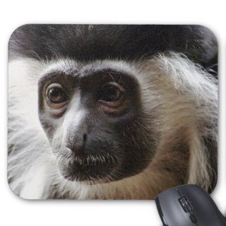 Cute Colobus Monkey Mouse Pad