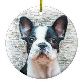 French Bulldog puppy Ornament