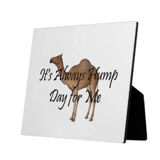TEE Hump Day Plaque