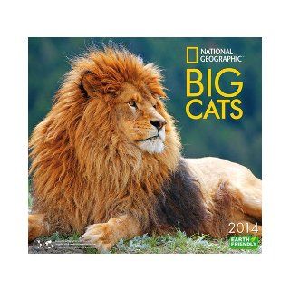 [2014 Calendar] Big Cats National Geographic 2014 Wall Calendar Standard Wall Calendar Books