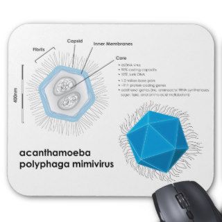 Acanthamoeba polyphaga mimivirus APMV Diagram Mousepads