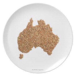 Map of Australia made of Glutinous Rice Dinner Plate