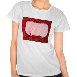 Red Brick Background Shirt