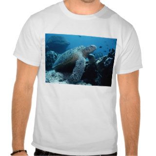 Green Sea Turtle T Shirts