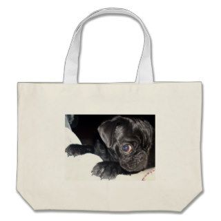 Who're you looking at? canvas bags