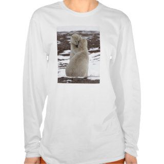 Polar Bear Hug Lockhart Shirt
