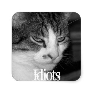 "Idiots" Crabby Cat Magnet Square Stickers