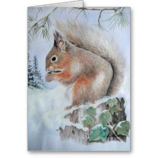Christmas Card   Red Squirrel