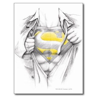 Sketched Chest Superman Logo Post Cards